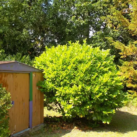 Сasa de vacaciones Maison Saint-Palais-Sur-Mer, 3 Pieces, 5 Personnes - Fr-1-305A-52